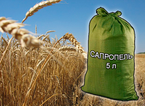 Почвогрунты, грунты и удобрения для растениеводства и садоводства от компании ЗАО Респект - Сапропель натуральный 5 л