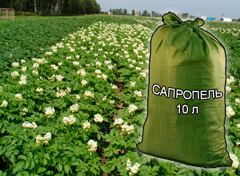Почвогрунты, грунты и удобрения для растениеводства и садоводства от компании ЗАО Респект - Сапропель натуральный 10 л